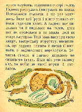 Tetianchyn izhak. Page seven