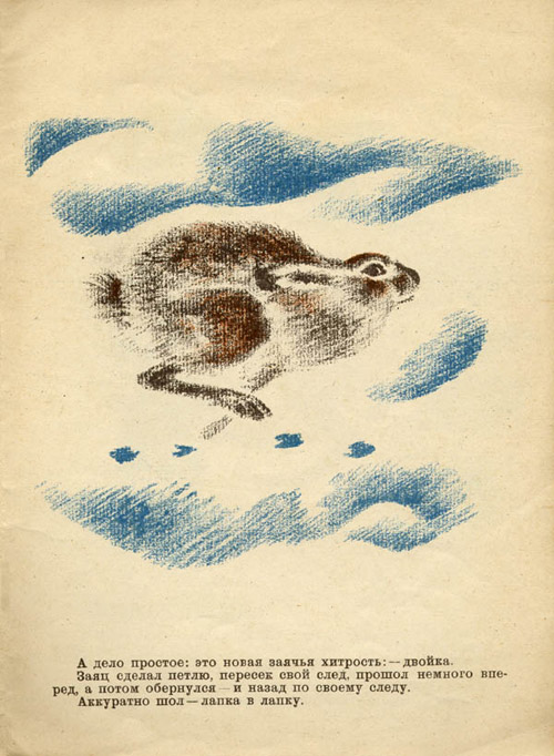 Snezhnaya kniga. Page eight 