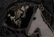 Rodeo