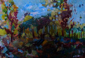 Spring in the forest